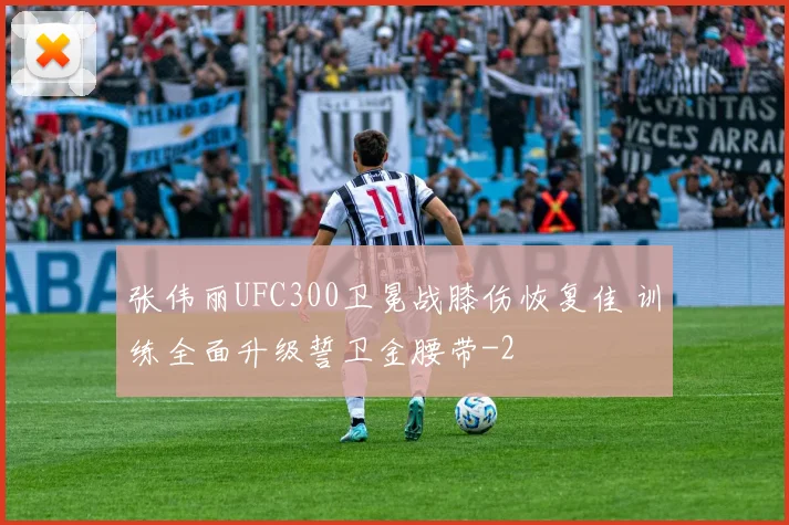张伟丽UFC300卫冕战膝伤恢复佳 训练全面升级誓卫金腰带