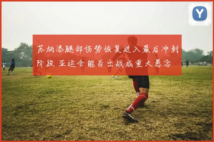 苏炳添腿部伤势恢复进入最后冲刺阶段 亚运会能否出战成重大悬念