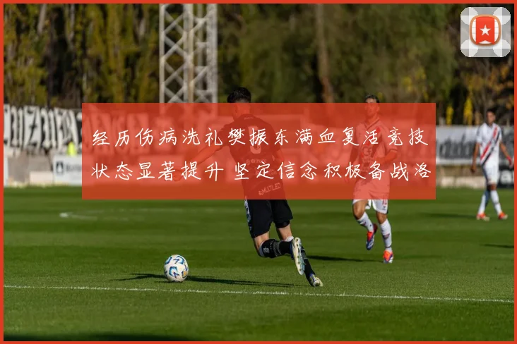 经历伤病洗礼樊振东满血复活竞技状态显著提升 坚定信念积极备战洛杉矶奥运誓要再攀高峰
